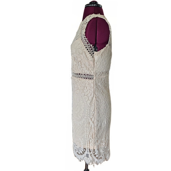 Main Strip Sleeveless Crochet Lace Knee Length Dress Cream Nude Womens - Picture 4 of 16
